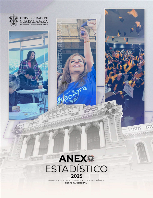 ANEXO ESTADISTICO 2025